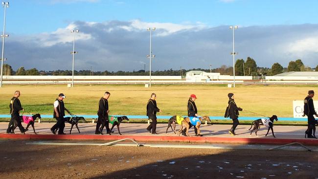 News Article: NSW Tips For Maitland, Nowra and Wagga