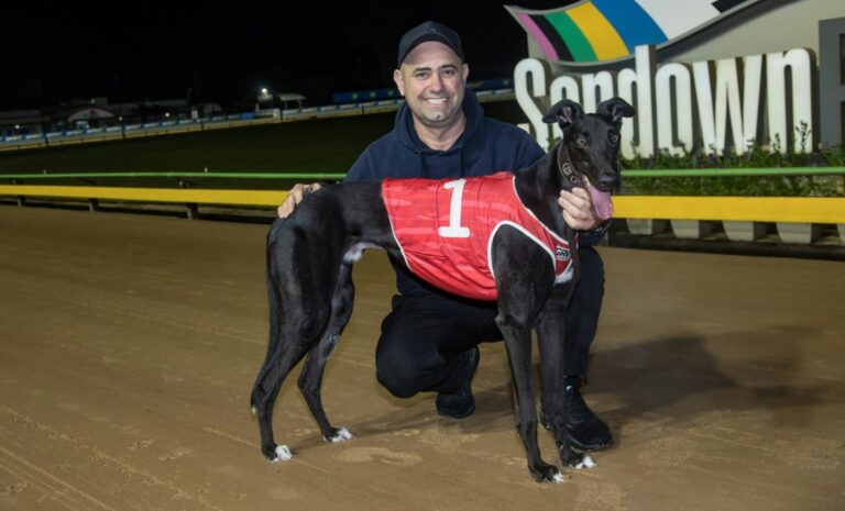 News Article: Buck To Stop With Group Winning Blueblood At Stud