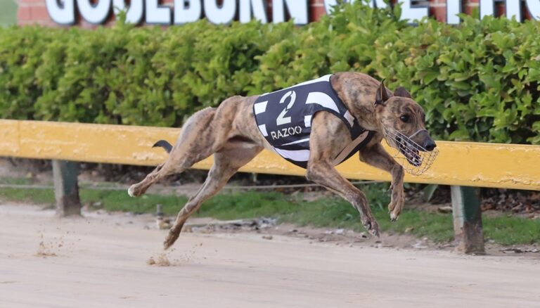 News Article: Augustus Finch Set For Championship Test