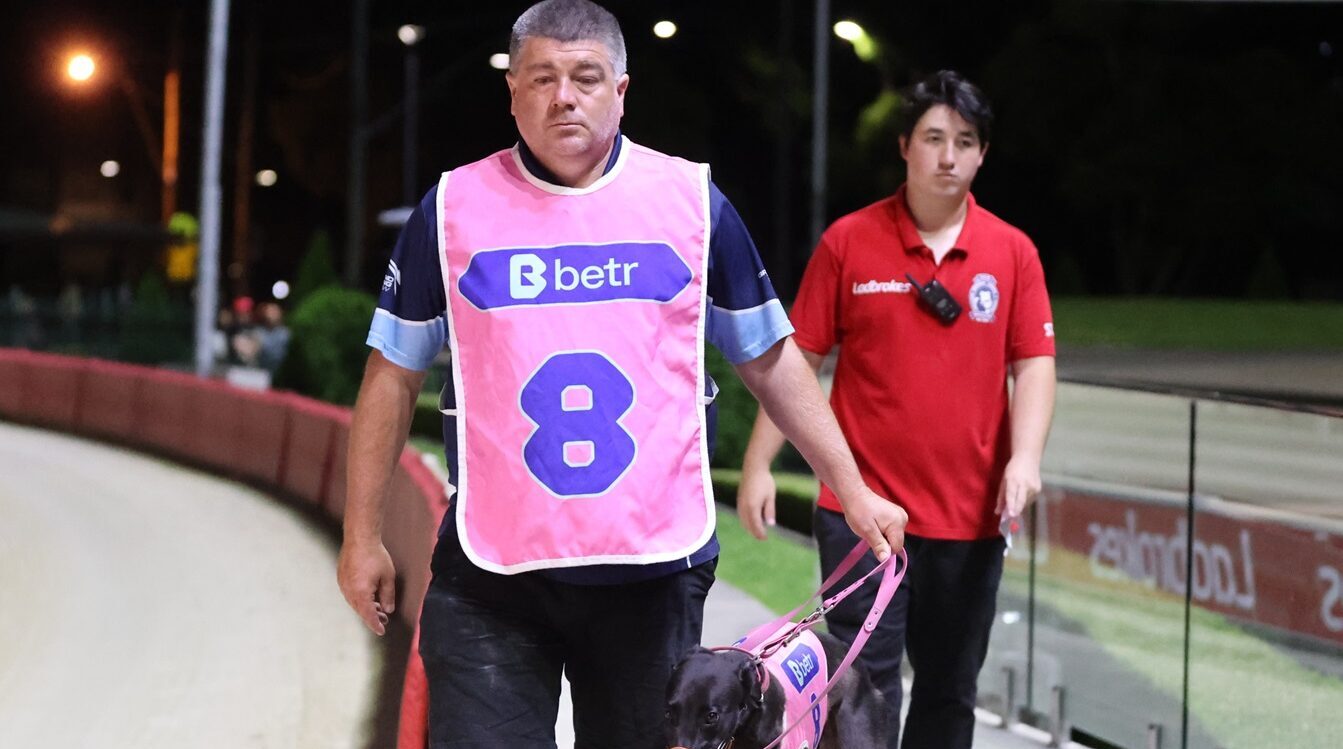 Delbridge's Touching Tribute Ahead Of Paul Wheeler Greyhound Recorder