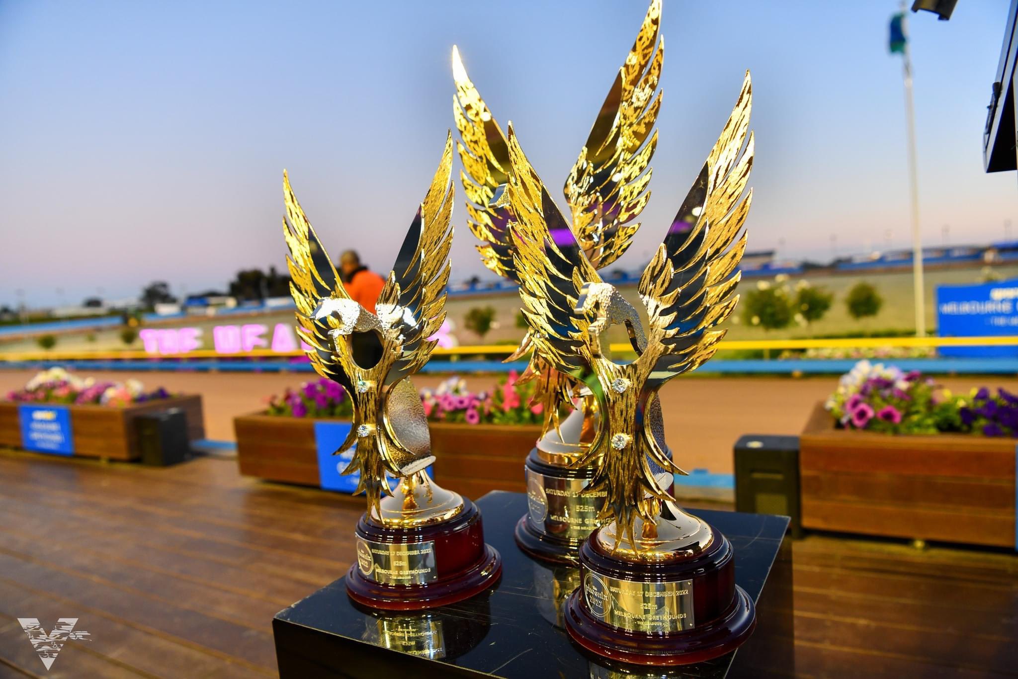 Runner Guide: Group 1 Sportsbet Phoenix - Greyhound Recorder