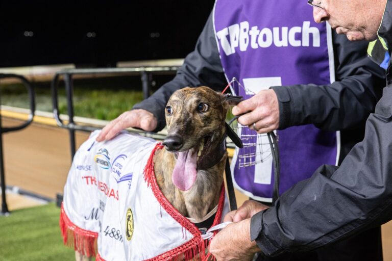 News Article: Miss Envy In A Rush For National Sprint Defence