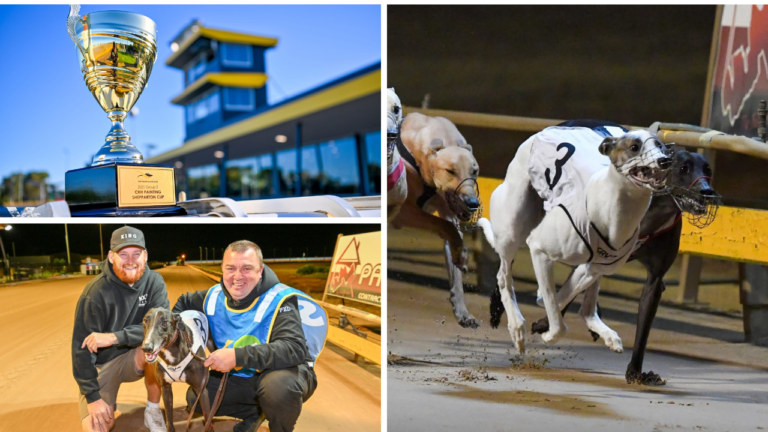 News Article: Preview: Emily's Time To Shine In Shepparton Cup?