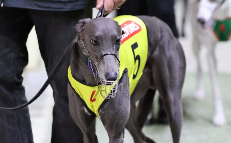 News Article: Egg Champ Back In Work For Major Spring Fling