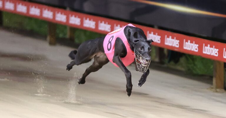 News Article: Can Autumn Storm End Form Slump In Nationals?