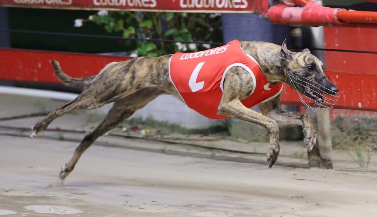 News Article: Taormina A '40,320-1 Chance' On Saturday Night