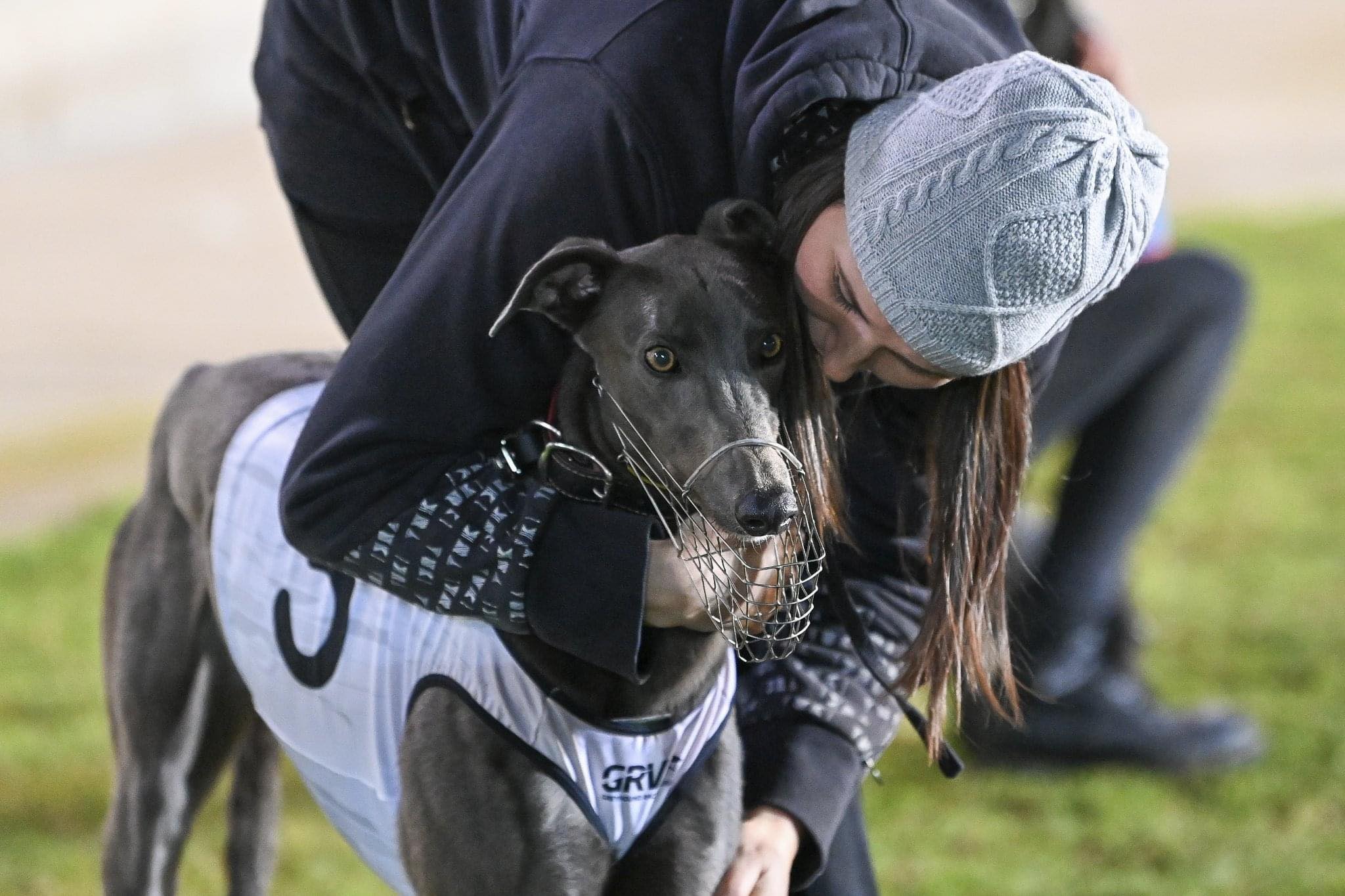 Rapid Rise Smith Living Out Training Dream Greyhound Recorder rapid-rise-smith-living-out-training-dream-greyhound-recorder