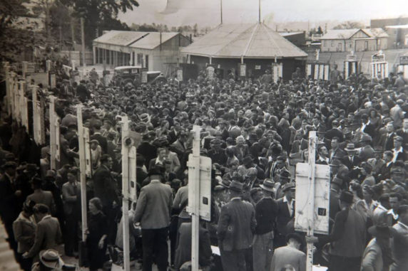 Dapto's Storied Racing Journey Like No Other - Greyhound Recorder