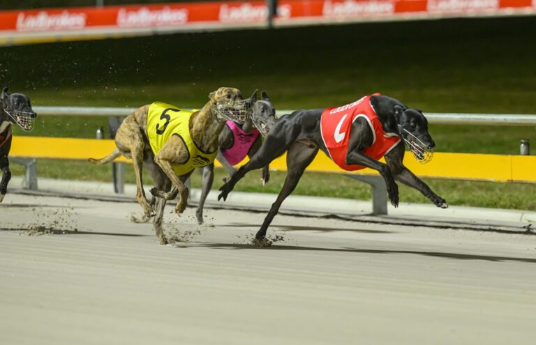 News Article: Fallout Begins As Brisbane Cup Abandoned