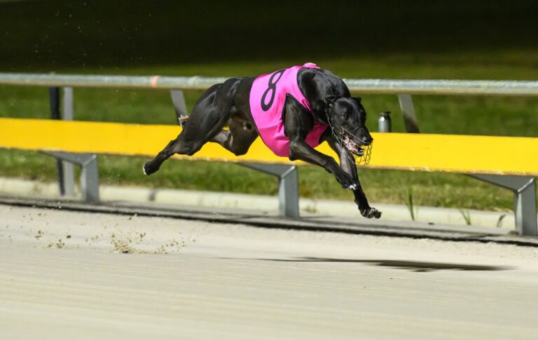 News Article: Armchair Guide: National Finals Night Preview