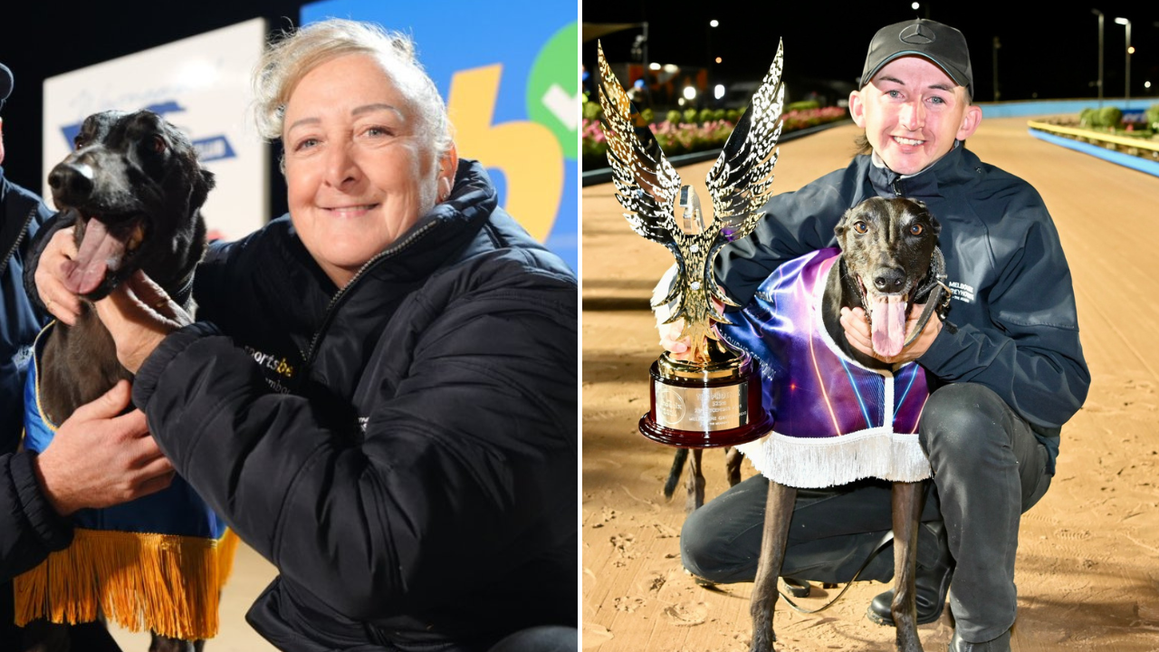THE clash of champion Explicit vs Country Cups King Matt Loch headlines an action packed Pink Diamond final program at Geelong on Friday.
