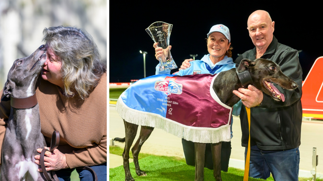 GOOD Odds Cobber took his earning to a “few bucks” short of $1m but it was Blue Blend which was simply awesome in the Origin Series.