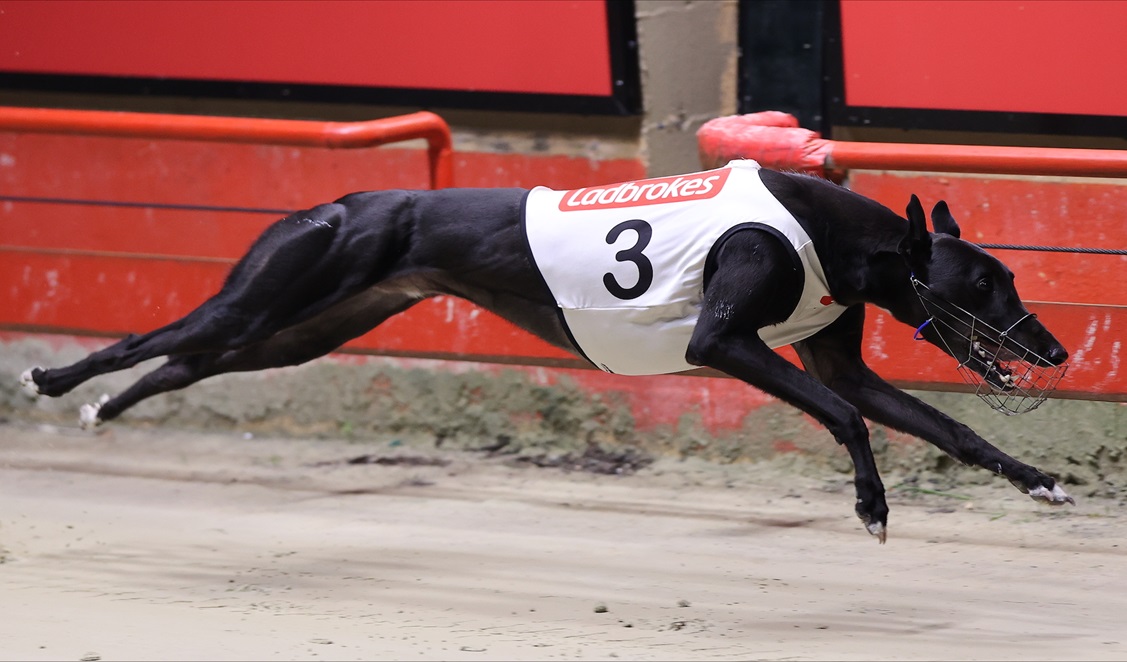 JOHN and Jane Carruthers have been rewarded for their patience and perseverance with the form of returning galloper Supermaxi.
