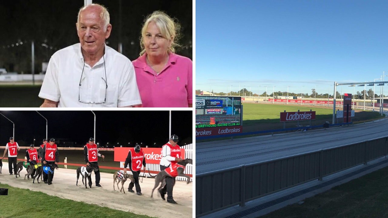 WHEN Grafton Club supremo John Corrigan heard latest excitement machine Blue Blend is on his way to the Grafton Carnival, he wasn’t surprised.
