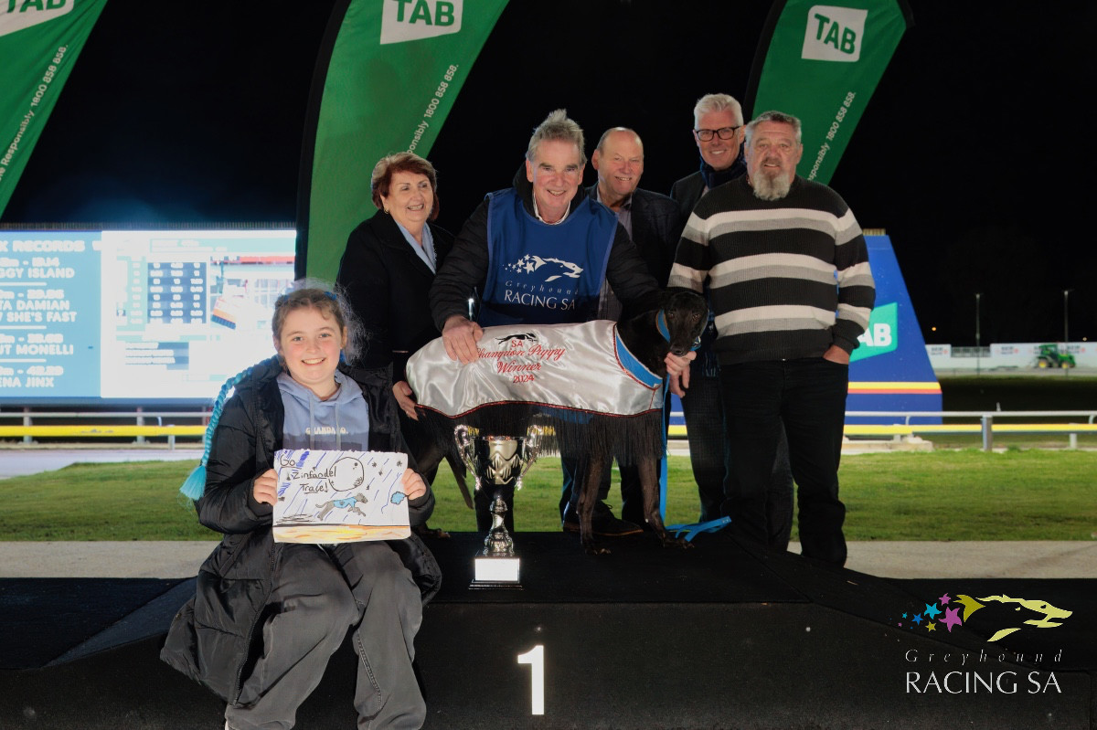 IN a boon for owners and trainers, Greyhound Racing South Australia has announced a 75 per cent increase in prizemoney for the Champion Puppy Final.
