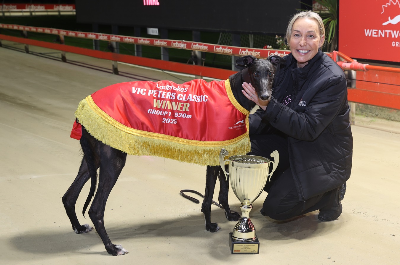 TRAINER Michelle Sultana defended her Vic Peters Classic (520m) title with Gus The Jet racing away with the Group 1 feature in style.