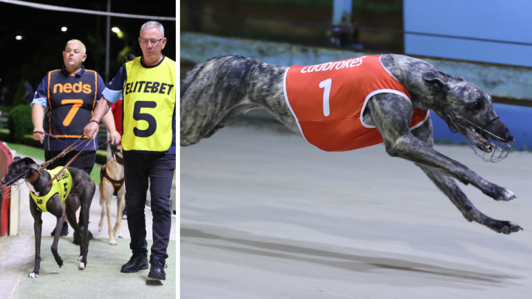 News Article: Indi On Nationals Trial At City Distance Debut