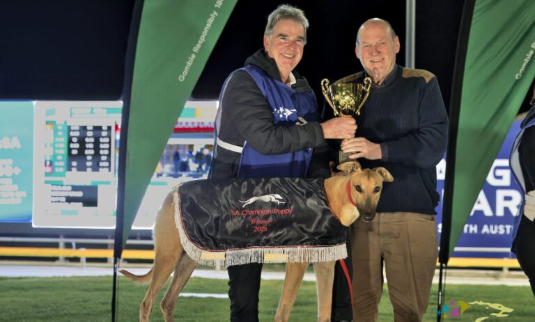 News Article: Jordy Dashes To Another Feature Race Success