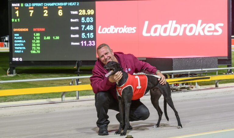 News Article: Cumbria Jack Sets New Q2 Parklands Record
