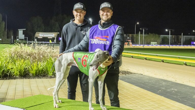 News Article: Timmy Tesla To Repeat The Dose In Sprint Decider?
