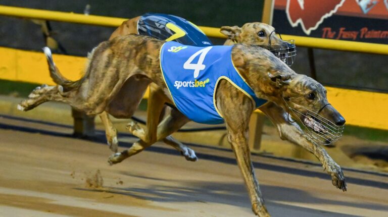 Greyhound Throw GRV To Throw Support Behind Victoria Police - Greyhound Recorder
