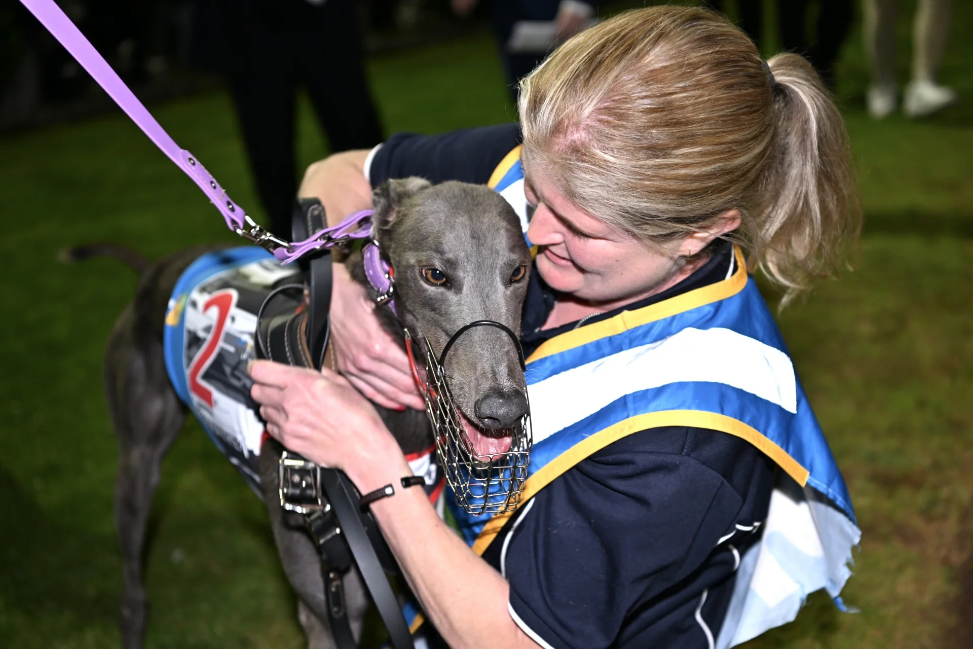 Cup Hero Canya Mayhem Secures Phoenix Slot - Greyhound Recorder