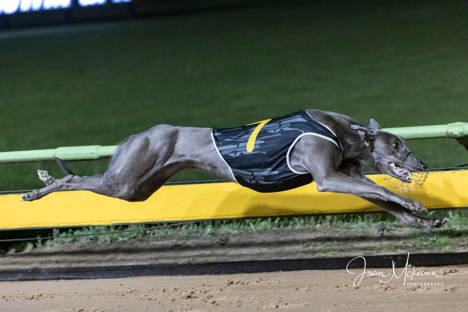 Canya Set To Excite In The Sandgroper Test - Greyhound Recorder